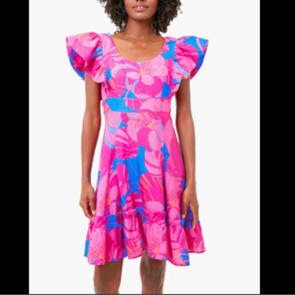 Tuckernuck Dresses & Skirts - Tuckernuck Pink and Blue Floral Ruffle-Sleeve Mini Dress